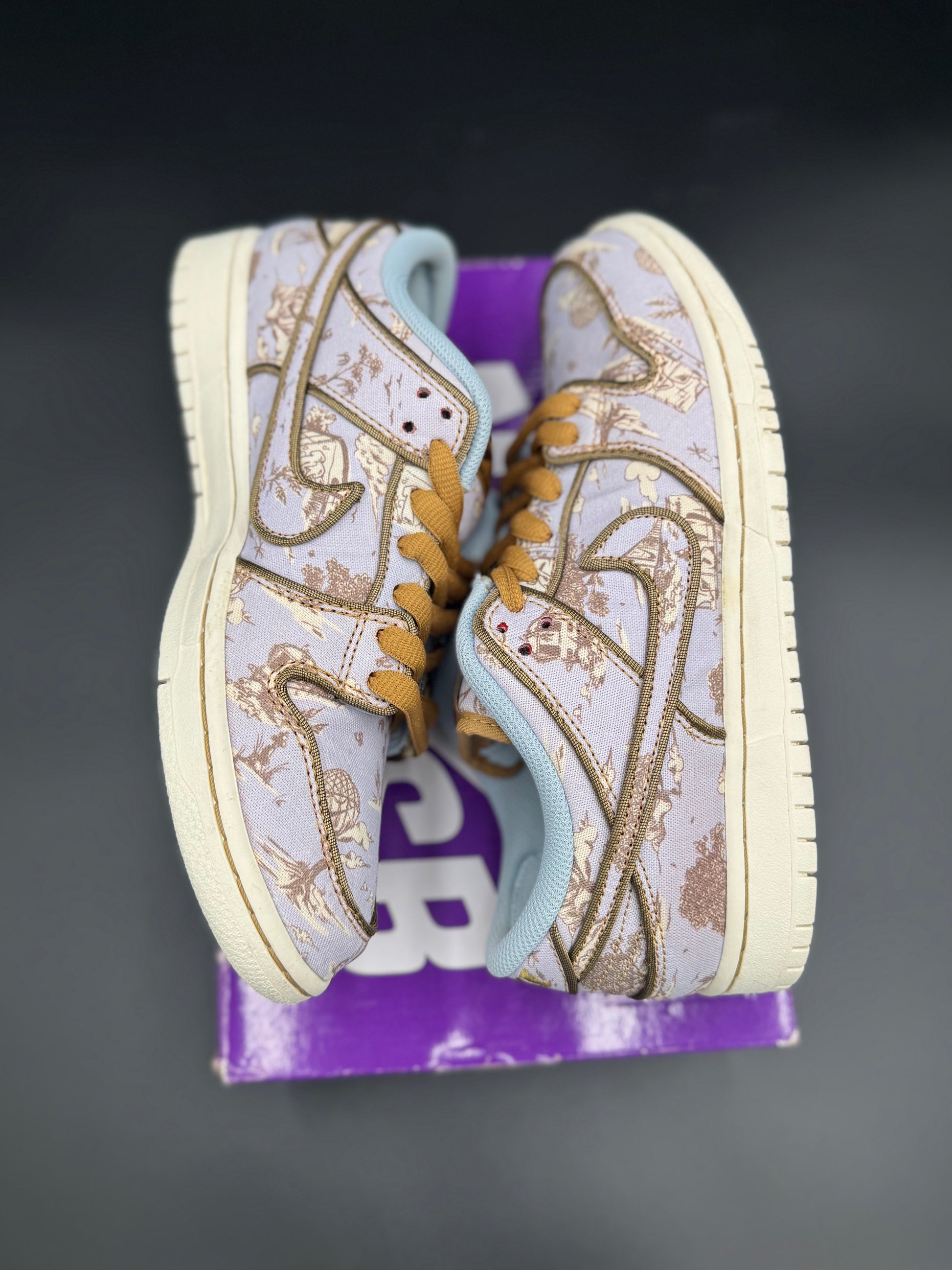 Nike Dunk Low Premium SB 'City of Style Pack'