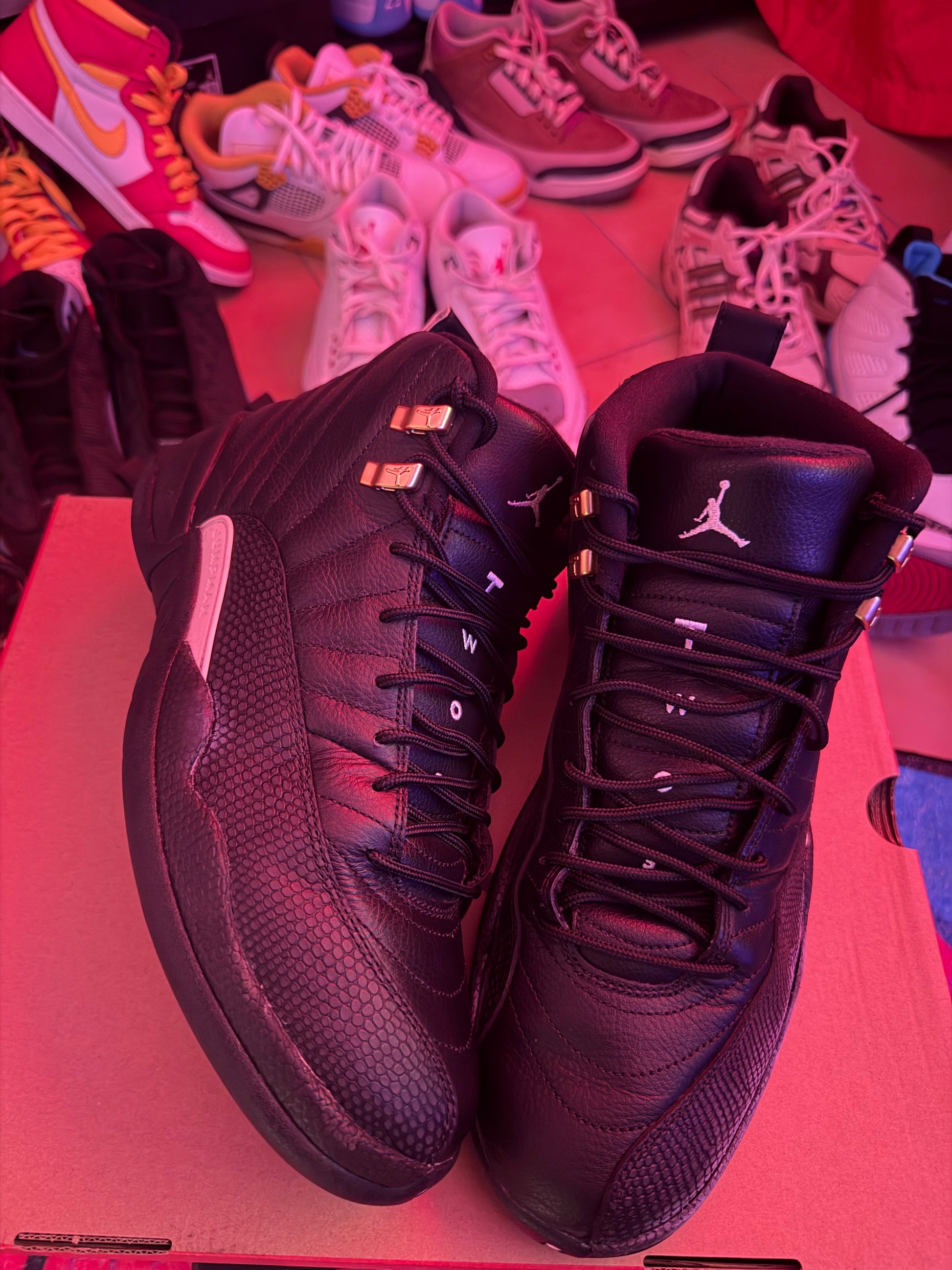 Air Jordan 12 Retro 'The Master'