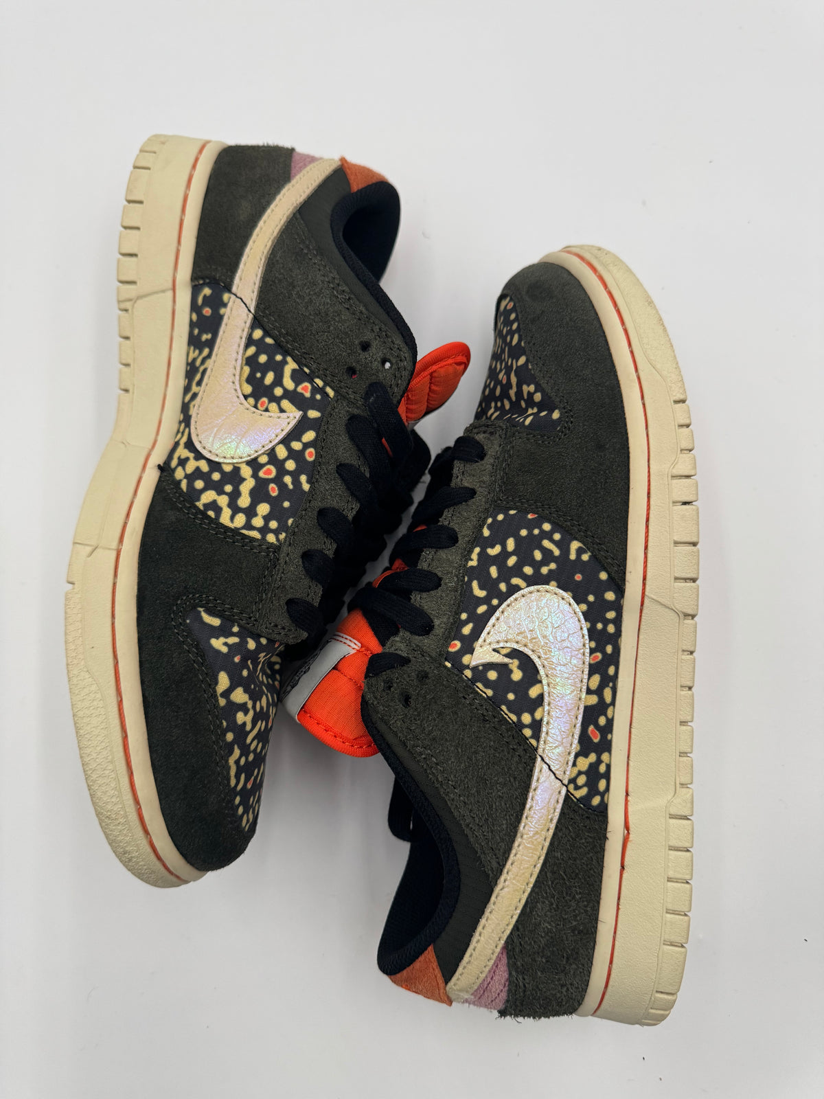 Nike Dunk Low SE 'Gone Fishing - Rainbow Trout'