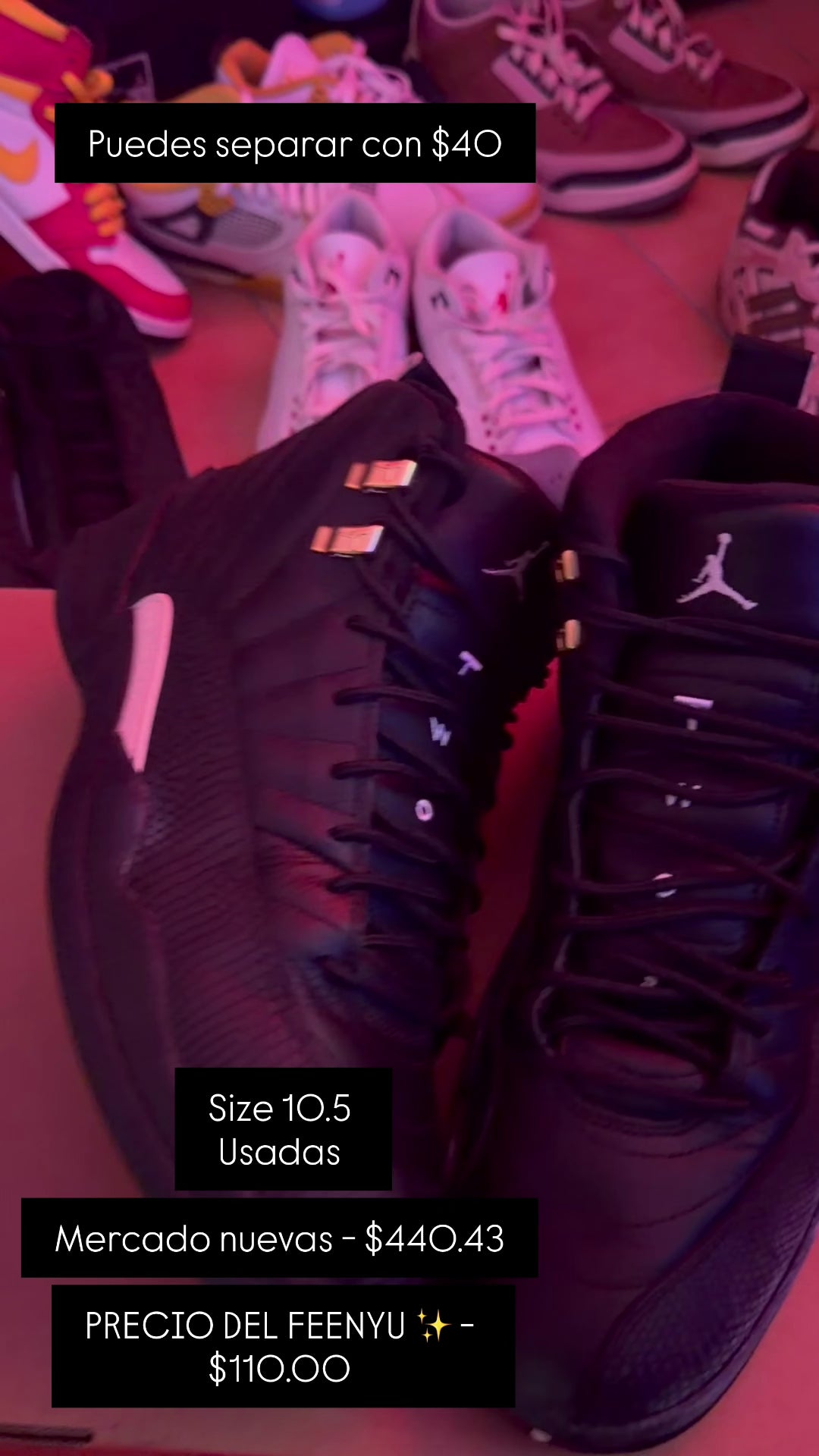 Air Jordan 12 Retro 'The Master'